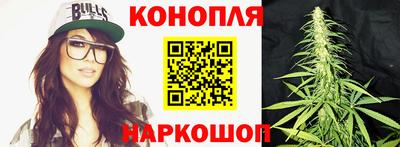 крисы Волжский