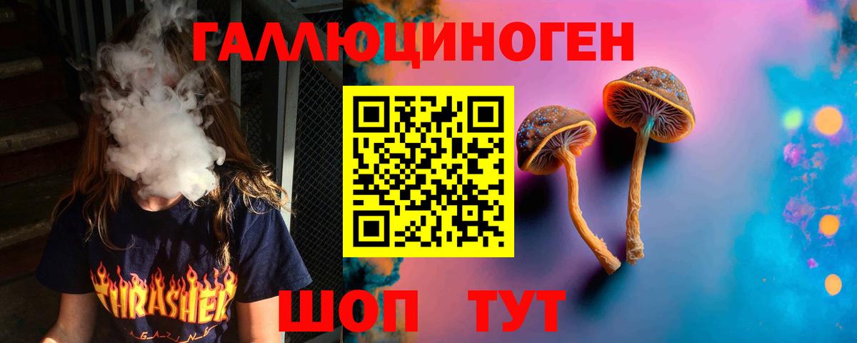 Галлюциногенные грибы GOLDEN TEACHER  Вход с VPN  Берёзовский 